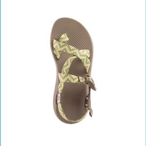 Brand new Women’s Chaco sandals